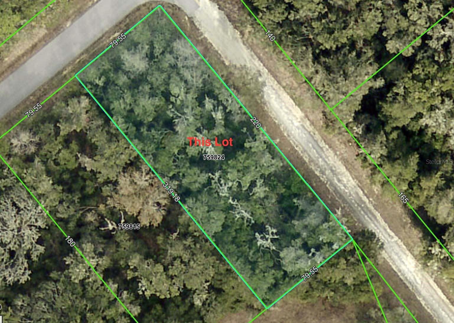 Beautiful, nice size, buildable lot, high and dry (non-flood zone). A lot of new builds surround this corner lot. The front side has a paved road with electricity available. Side 220 feet is on a dirt road, giving you the choice of having an unpermitted driveway on that side or a permitted driveway from the paved 80 feet if you want to get fancy. Most lots in the area are flood zone, this one is not. It has a protected dry lake in the back, so you will have no neighbors on three sides. Cortez Blvd has recently been enlarged, so bet progress is coming your way. Close to Withlacoochee State Forest and paved Withlacoochee trail for great hiking, mountain biking trails, public hunting areas, camping, and minutes from Silver Lake recreation area in case fishing is your thing. One hour away from Tampa, and an hour away from Orlando. Great spot to be in. Drive by and see it for yourself, for this price point, it doesn't get any better. Get your slice of Florida while these prices exist. The Owner is a Florida Licensed Realtor.