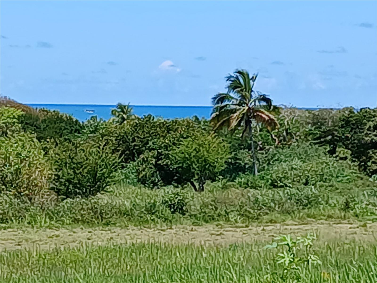 15.5 CARRETERA 681 KM.HM 15.5