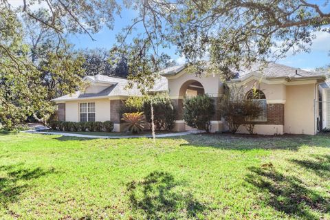 A home in HOMOSASSA