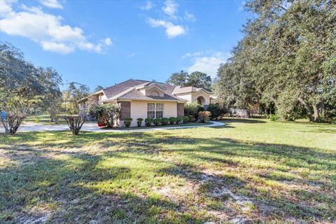 A home in HOMOSASSA