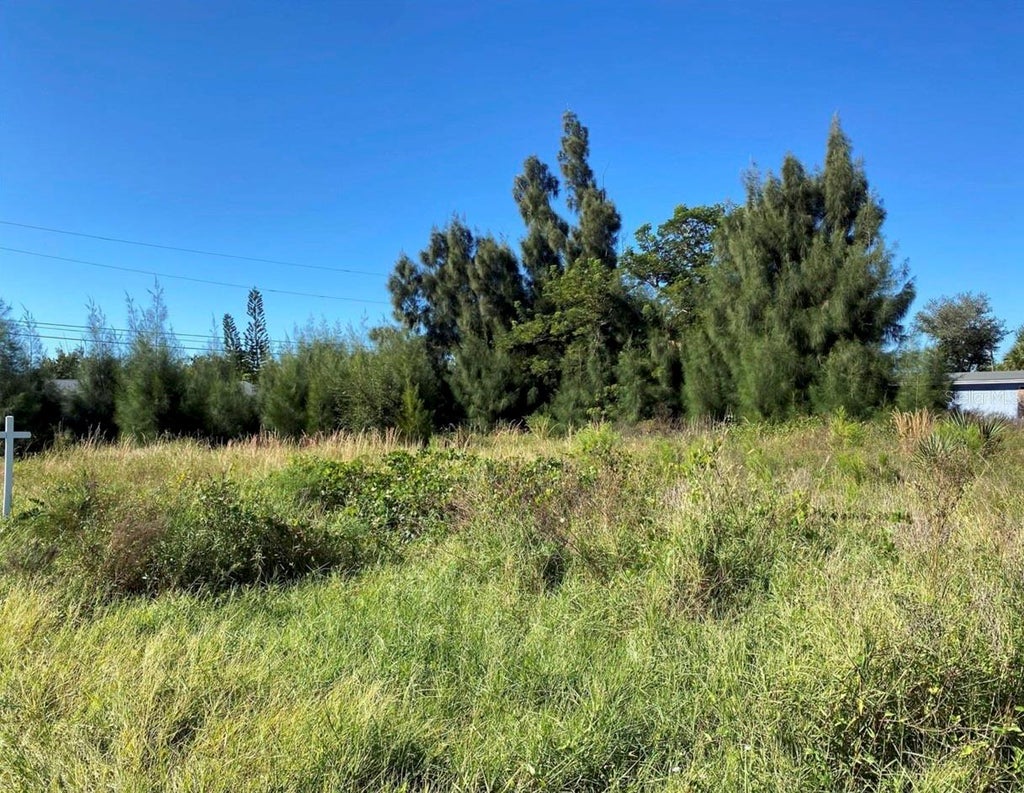 Photo of 0 Olive Street, Englewood, FL 34223 (MLS # A4707095)