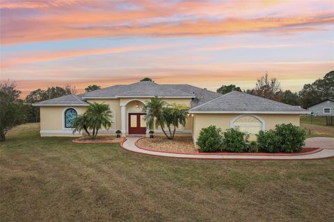 A home in WESLEY CHAPEL