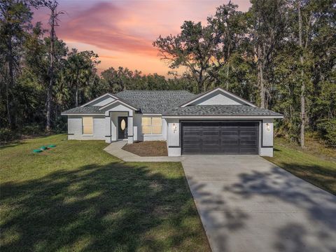 Photo of 3 Sequoia Drive Trace, Ocklawaha, FL 32179 (MLS # O6361996)