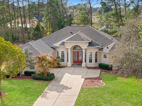 Photo of 10077 Hernando Ridge Road, Weeki Wachee, FL 34613 (MLS # W7883622)