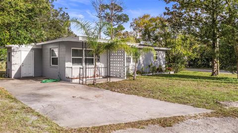 389 PARK AVENUE ORANGE CITY FL 32763