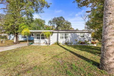 389 PARK AVENUE ORANGE CITY FL 32763