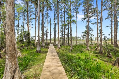Tiny photo for 7907 Florida Boys Ranch Road, Groveland, FL 34736 (MLS # O6400268)