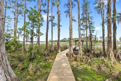 Tiny photo for 7907 Florida Boys Ranch Road, Groveland, FL 34736 (MLS # O6400268)