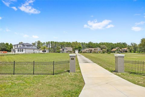 Tiny photo for 7907 Florida Boys Ranch Road, Groveland, FL 34736 (MLS # O6400268)