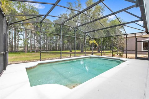 Tiny photo for 7907 Florida Boys Ranch Road, Groveland, FL 34736 (MLS # O6400268)