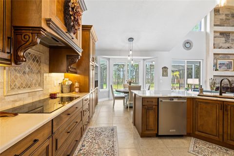 Tiny photo for 7907 Florida Boys Ranch Road, Groveland, FL 34736 (MLS # O6400268)