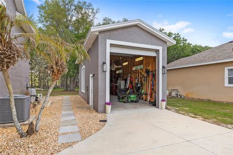 Tiny photo for 7907 Florida Boys Ranch Road, Groveland, FL 34736 (MLS # O6400268)