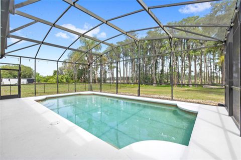 Tiny photo for 7907 Florida Boys Ranch Road, Groveland, FL 34736 (MLS # O6400268)