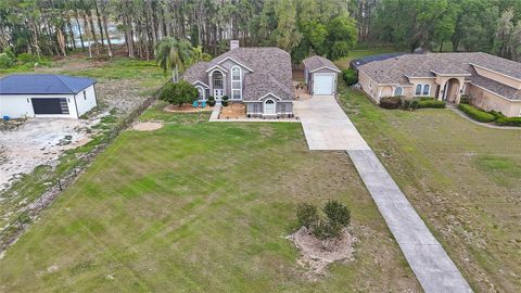 Tiny photo for 7907 Florida Boys Ranch Road, Groveland, FL 34736 (MLS # O6400268)