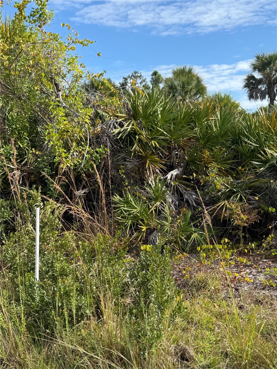 7483 REGINA DRIVE, ENGLEWOOD, FL, 34224 3 7483 REGINA DRIVE