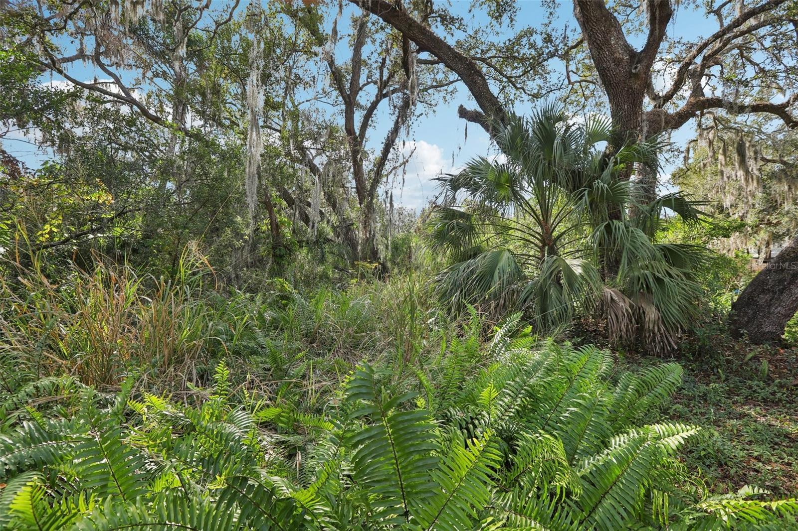 NORTH TAMPA HEIGHTS - Residential