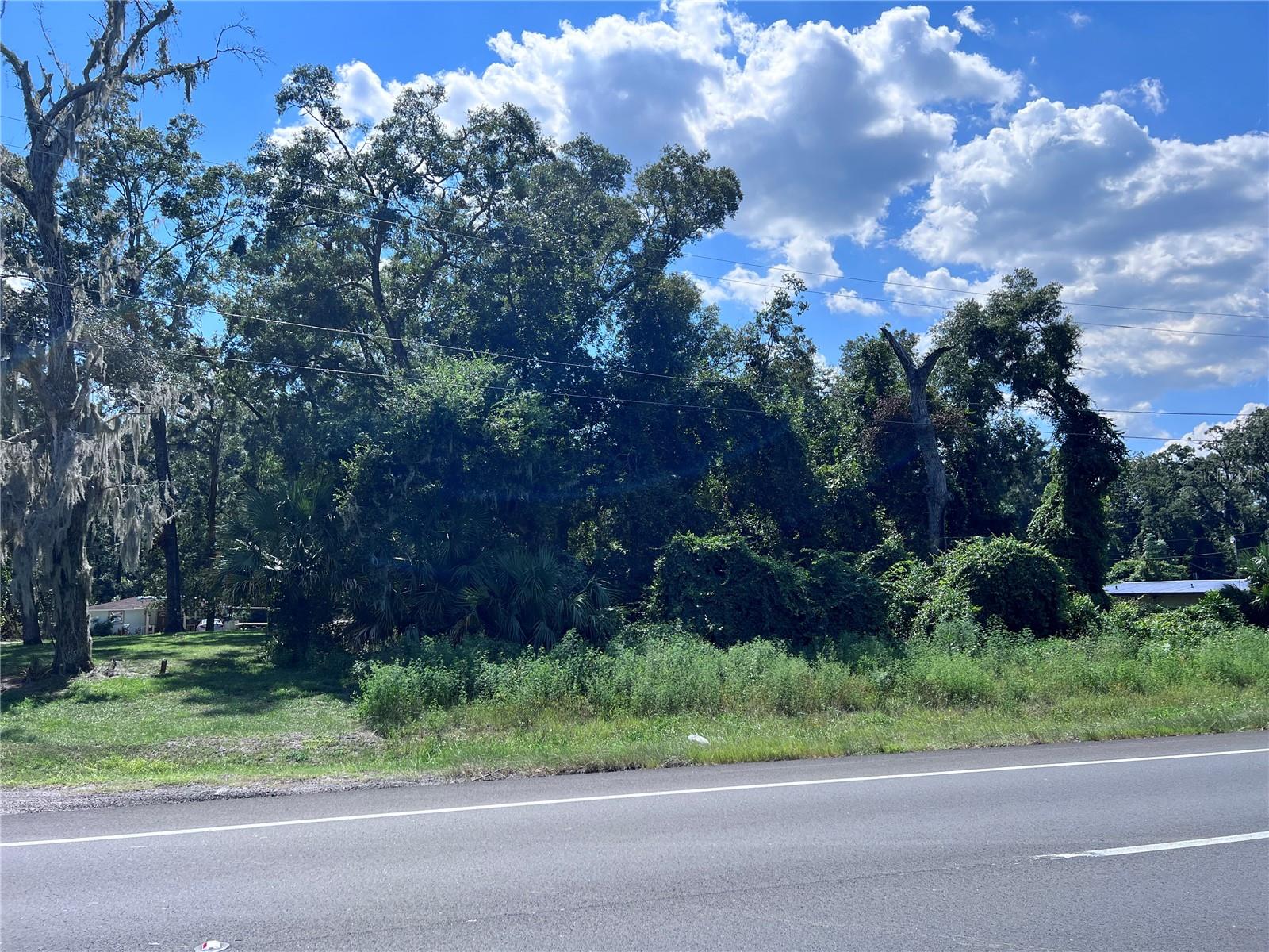 SUWANNEE RIVER ESTATE - Land