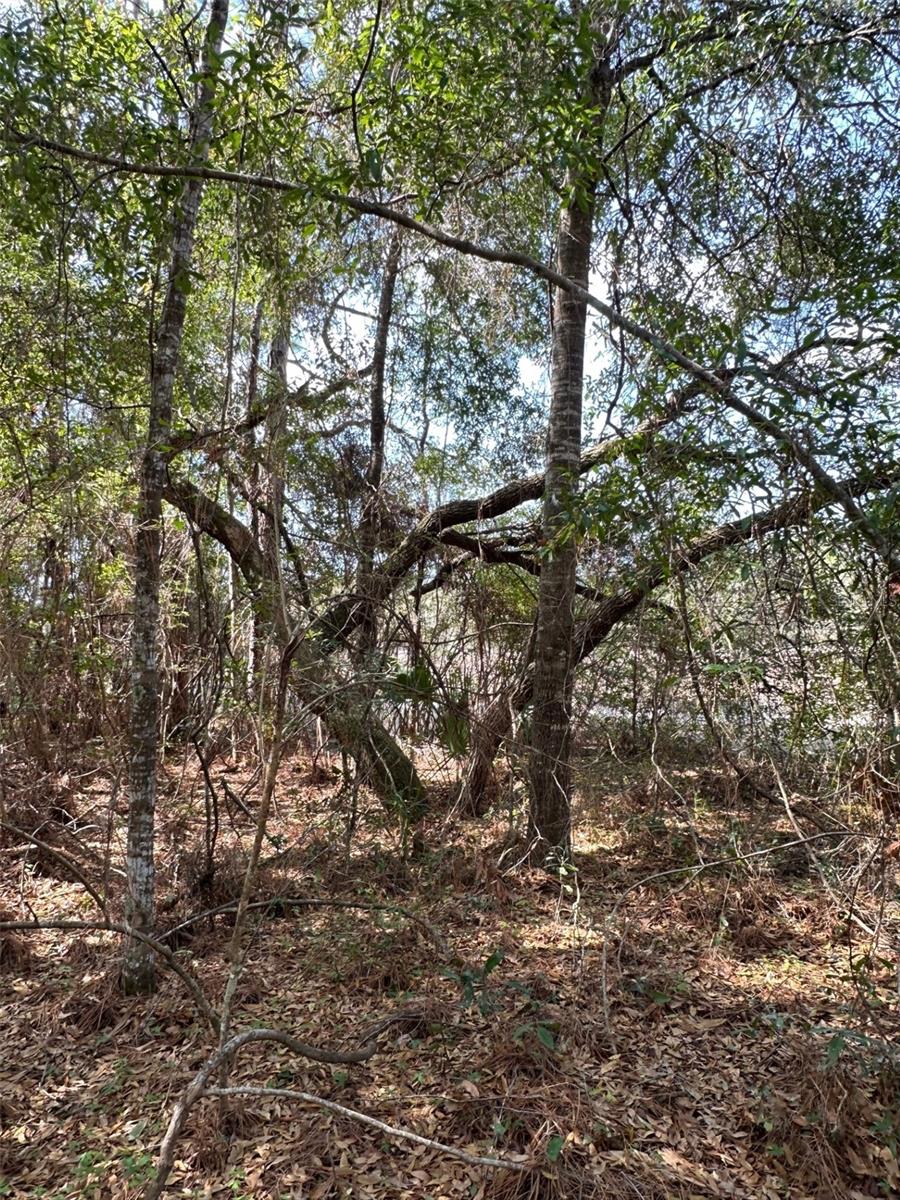 ROYAL HIGHLANDS - Land