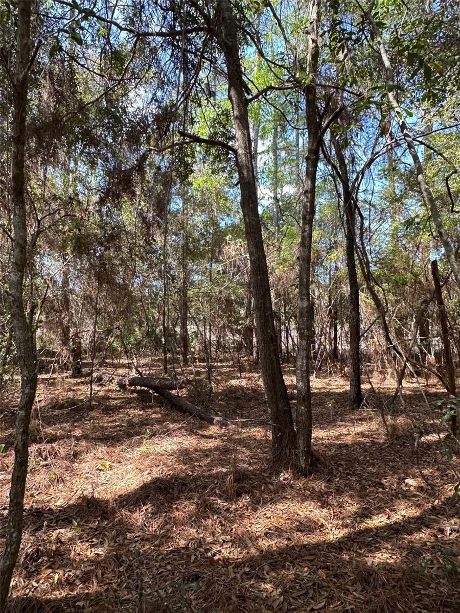 ROYAL HIGHLANDS - Land