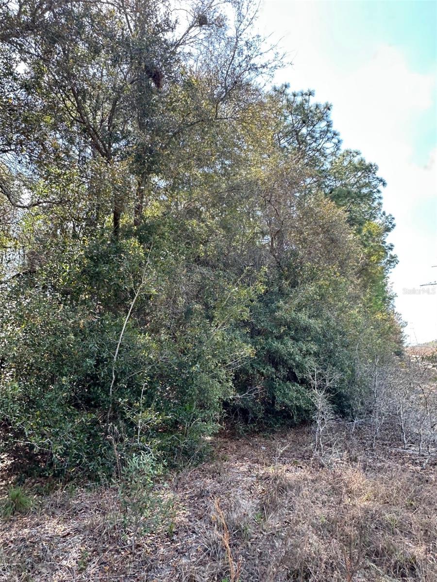 ROYAL HIGHLANDS - Land