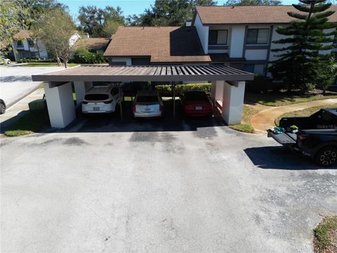 A home in SAFETY HARBOR