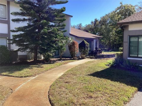 A home in SAFETY HARBOR