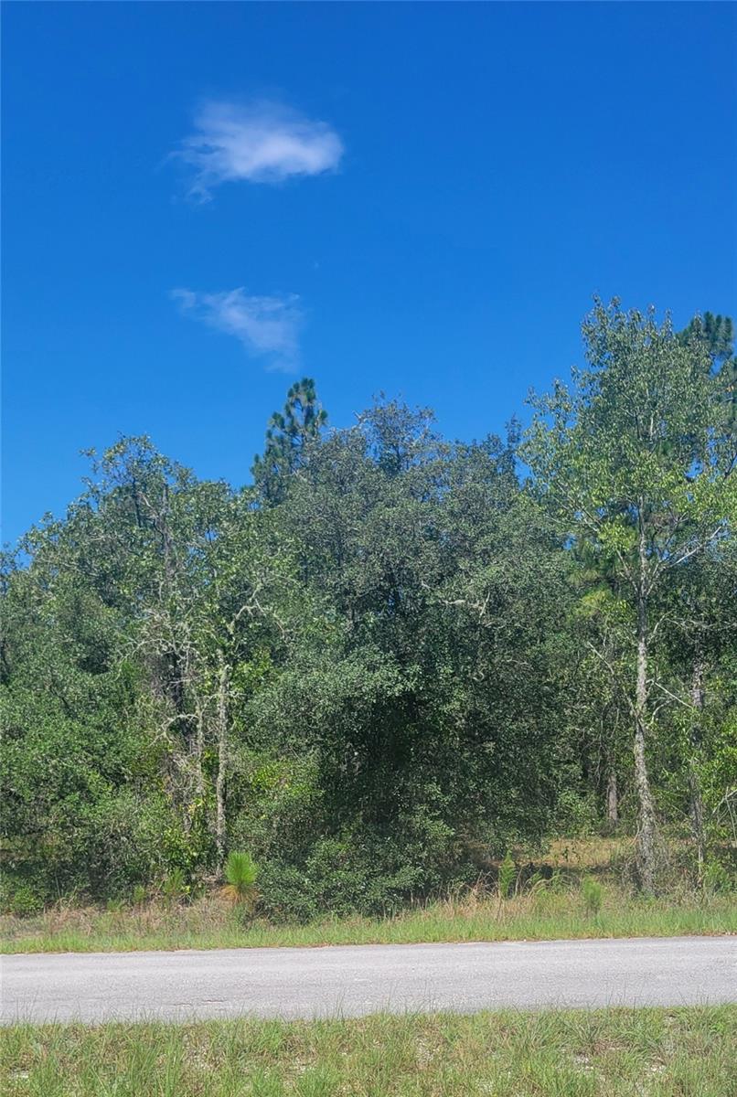 Owner financing available! Peaceful 0.24-acre lot located on SW Big Bear Ridge in Rainbow Lakes Estates, Dunnellon. This wooded
parcel sits on a paved road in a quiet rural setting with other homes nearby, offering a great opportunity to build in a growing
community with no HOA. Zoned R-1 for site-built homes, and conveniently located within 10 miles of the Rainbow River and Rainbow
Springs State Park. Residents enjoy access to parks, sports courts, fitness and youth centers. A simple 40 minute drive to Ocala, the
World Equestrian Center, Crystal River, Gainesville, and the Gulf Coast. A perfect blend of nature, recreation, and investment potential.
