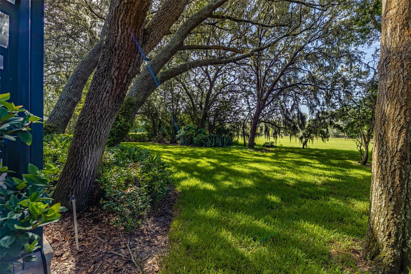 FISH HAWK TRAILS UNIT 4 PH - Residential