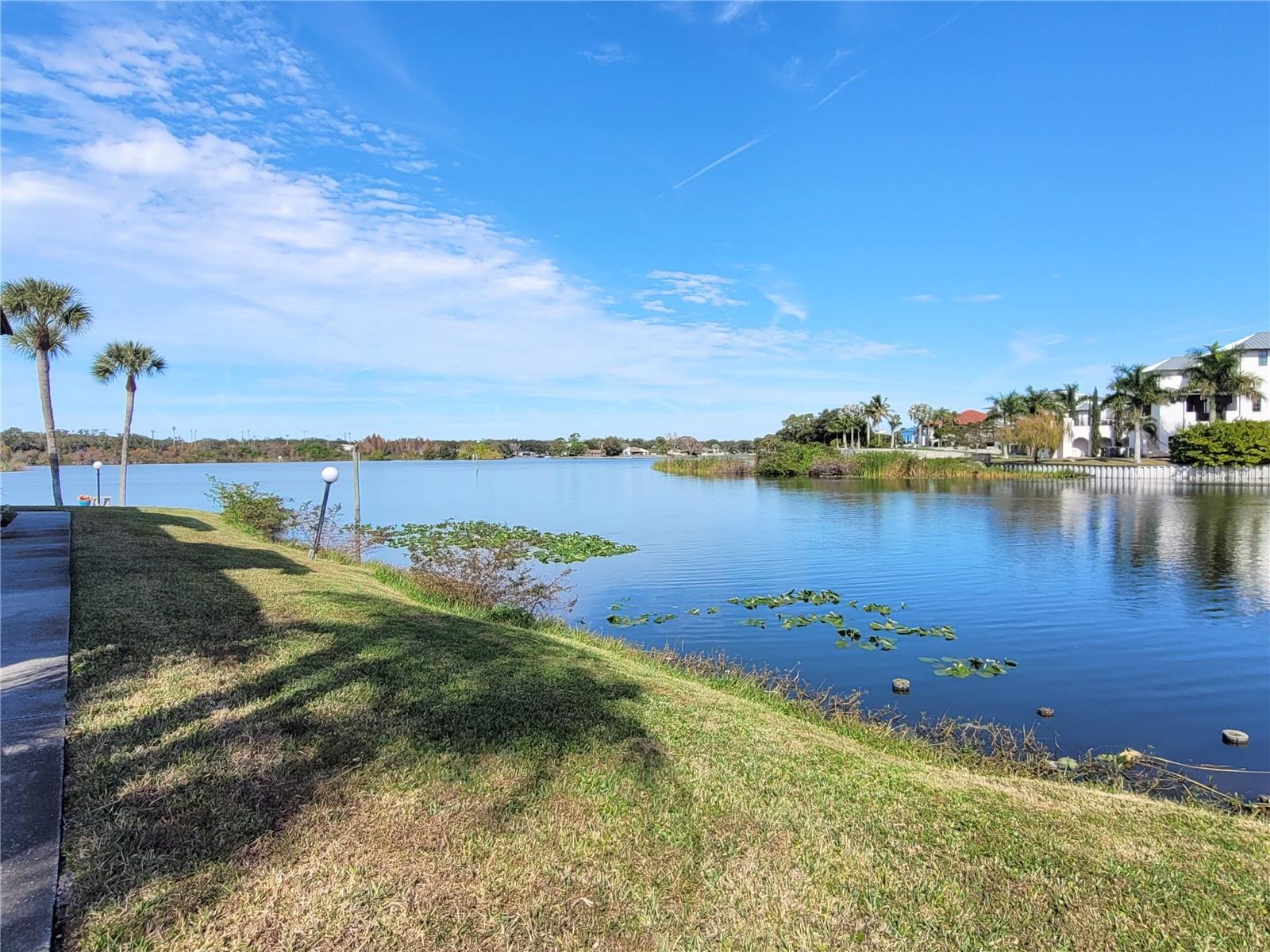 SANDAL COVE CONDO - Residential