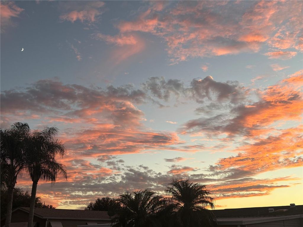 Photo of 16681 SE 96th Court, Summerfield, FL 34491 (MLS # OM710004)