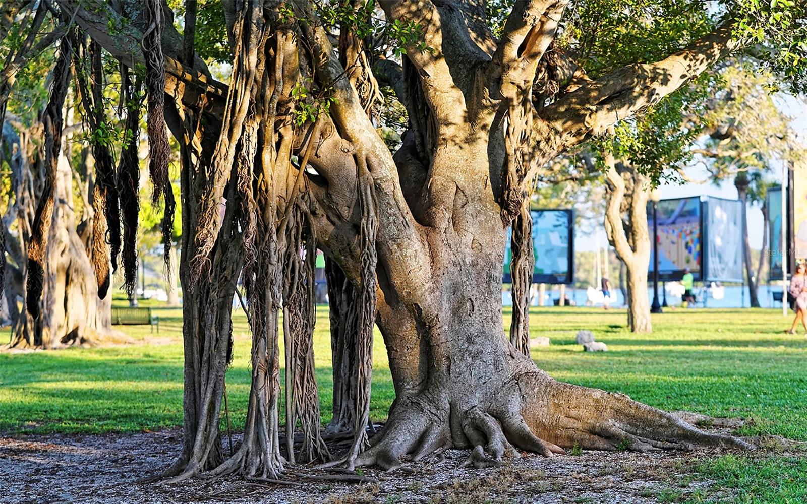 BURNS COURT ENCLAVE - Residential
