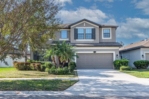 Photo of 11525 Scarlet Ibis Place, Riverview, FL 33569 (MLS # TB8379547)
