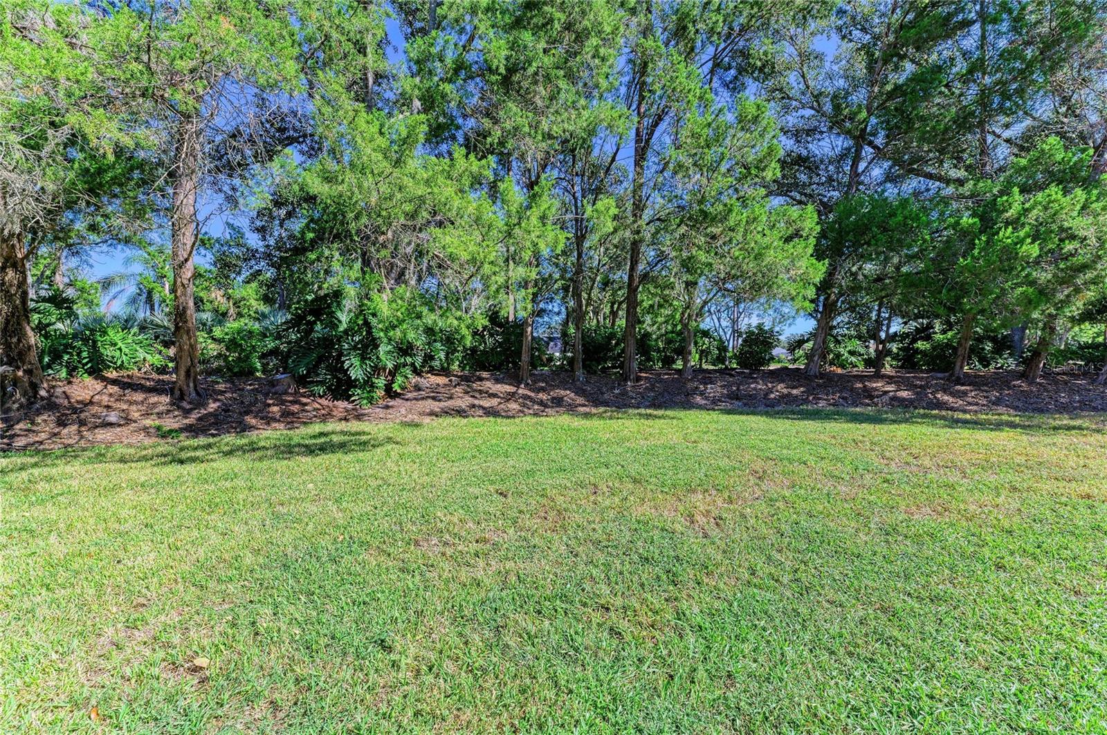 SUMMERFIELD VILLAGE SUBPHASE C - Residential