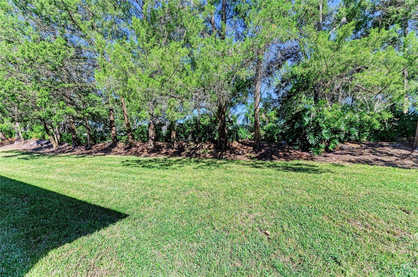 SUMMERFIELD VILLAGE SUBPHASE C - Residential