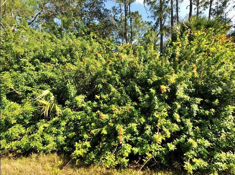 PORT CHARLOTTE SUB 46 - Land