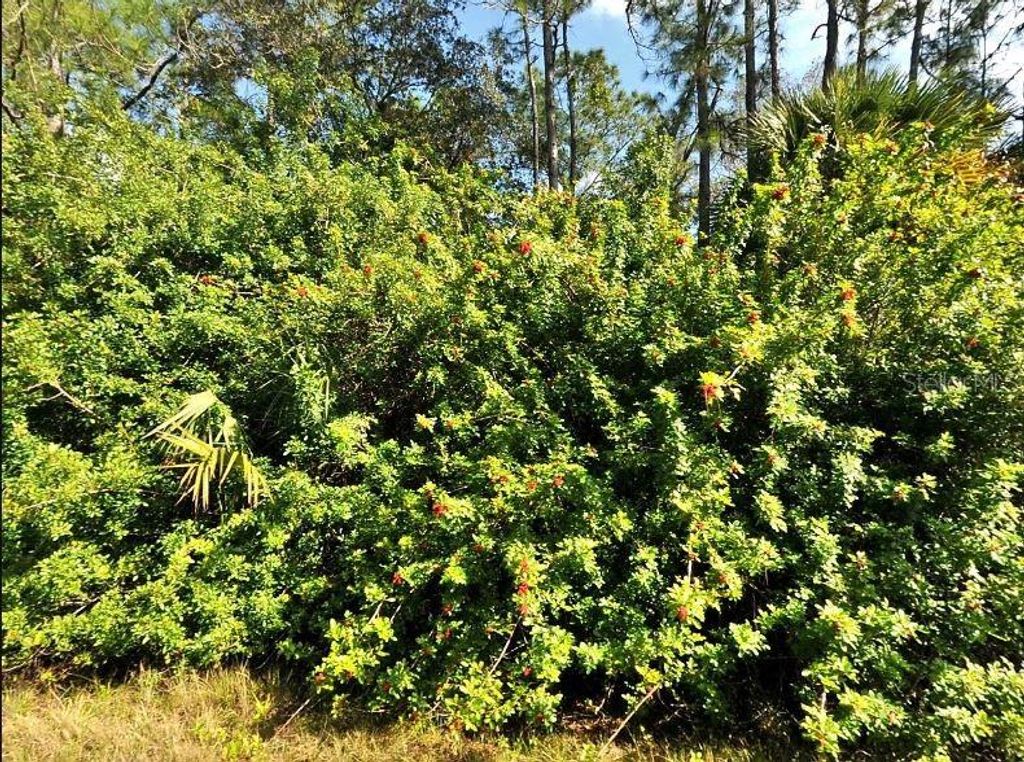 Photo of Havemeyer Street, North Port, FL 34288 (MLS # O6186812)