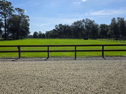 Tiny photo for 7191 NE 150th Avenue, Williston, FL 32696 (MLS # OM725615)