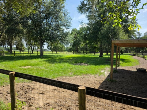 Tiny photo for 7191 NE 150th Avenue, Williston, FL 32696 (MLS # OM725615)