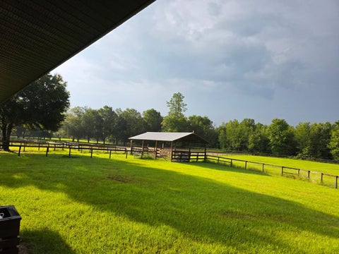 Tiny photo for 7191 NE 150th Avenue, Williston, FL 32696 (MLS # OM725615)