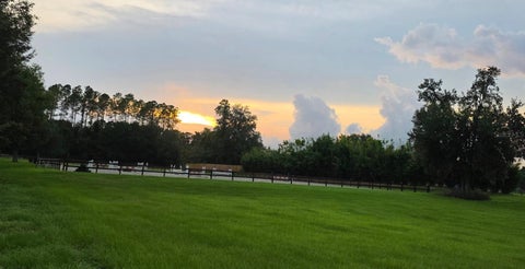 Tiny photo for 7191 NE 150th Avenue, Williston, FL 32696 (MLS # OM725615)
