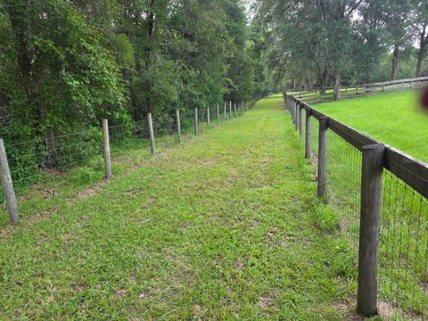 Tiny photo for 7191 NE 150th Avenue, Williston, FL 32696 (MLS # OM725615)
