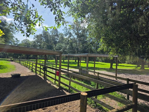 Tiny photo for 7191 NE 150th Avenue, Williston, FL 32696 (MLS # OM725615)