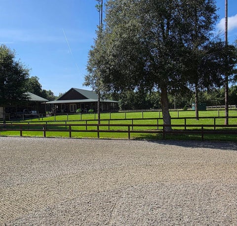 Tiny photo for 7191 NE 150th Avenue, Williston, FL 32696 (MLS # OM725615)