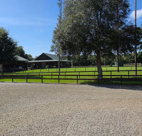 Tiny photo for 7191 NE 150th Avenue, Williston, FL 32696 (MLS # OM725615)