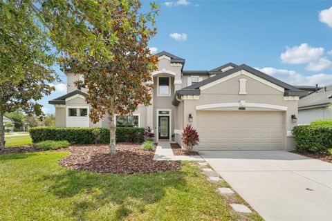 21834 SOUTHERN CHARM DRIVE LAND O LAKES FL 34637