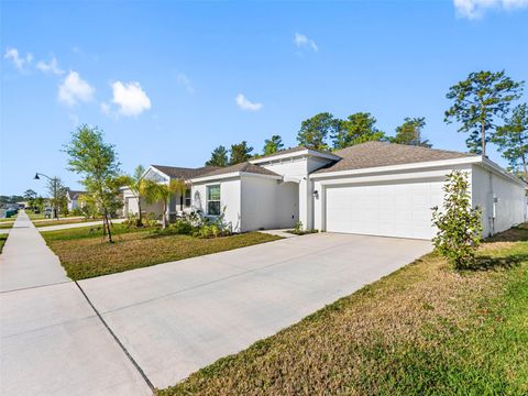 Photo of 1312 Peach Creek Drive, Osteen, FL 32764 (MLS # TB8369059)