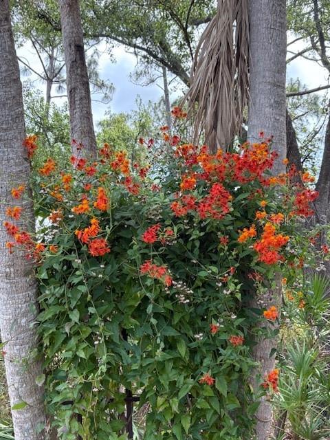 BENT TREE VILLAGE - Residential