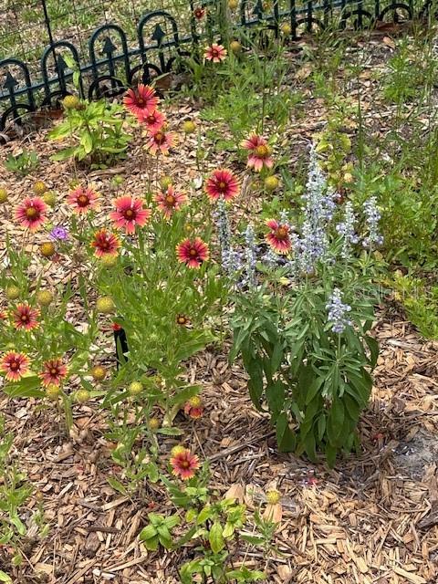 BENT TREE VILLAGE - Residential