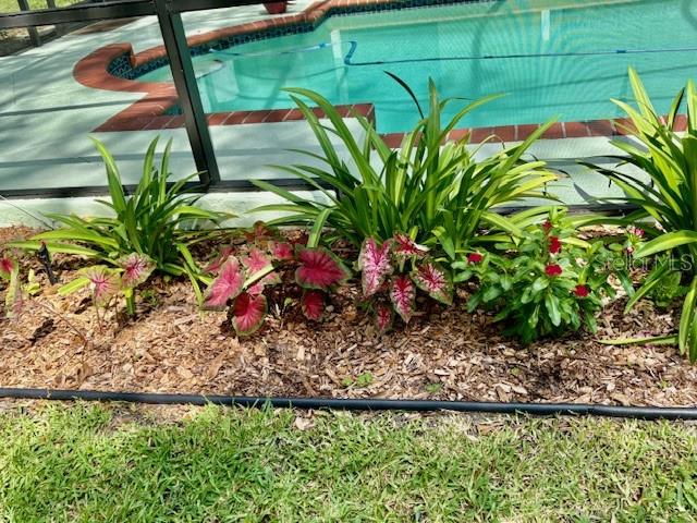 BENT TREE VILLAGE - Residential