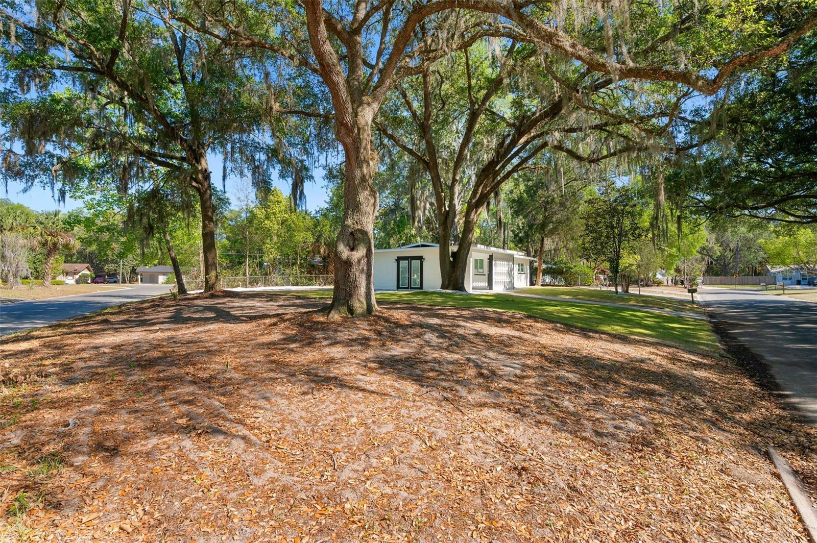 CAROL ESTATES TERRACE - Residential